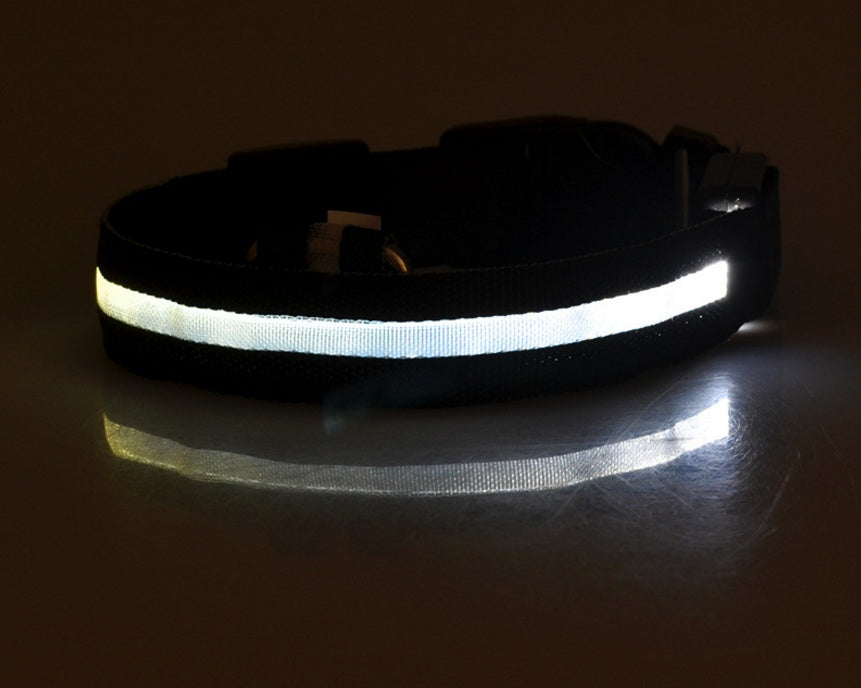 Collar de seguridad nocturna con luz LED – Ajustable, nylon resistente, ideal para perros y gatos