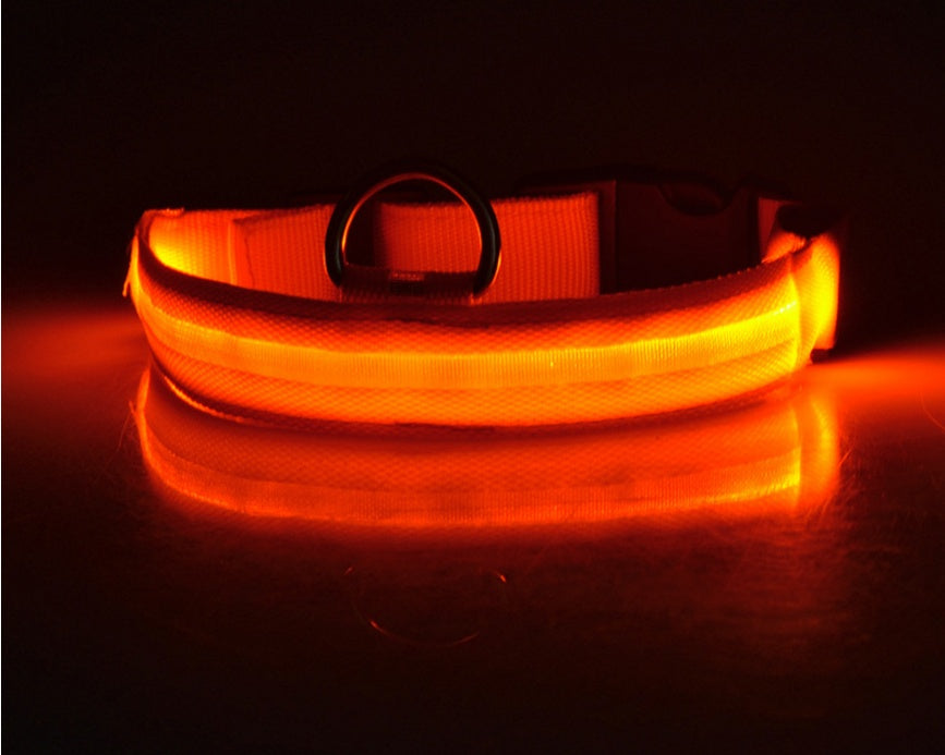 Collar de seguridad nocturna con luz LED – Ajustable, nylon resistente, ideal para perros y gatos
