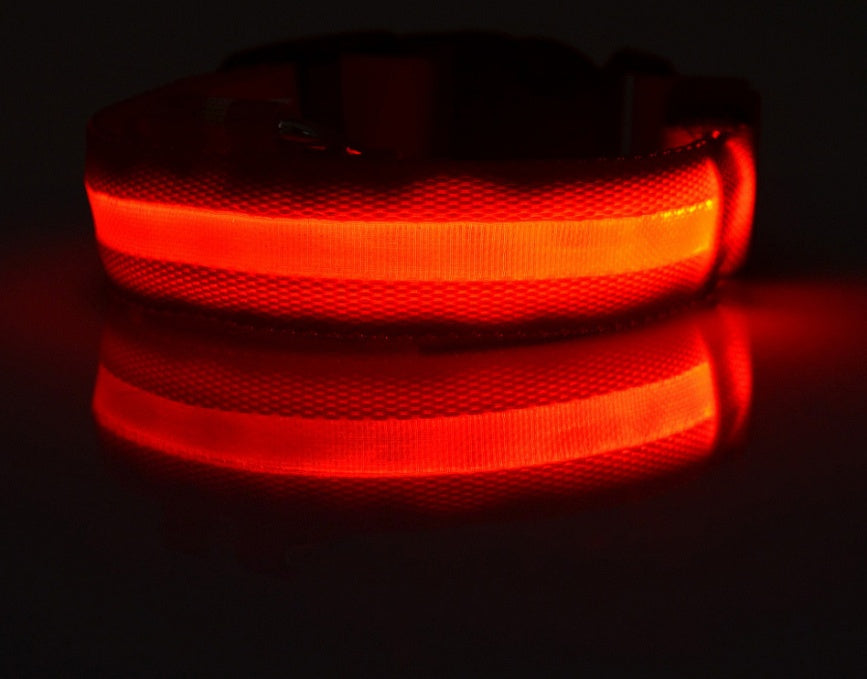 Collar de seguridad nocturna con luz LED – Ajustable, nylon resistente, ideal para perros y gatos