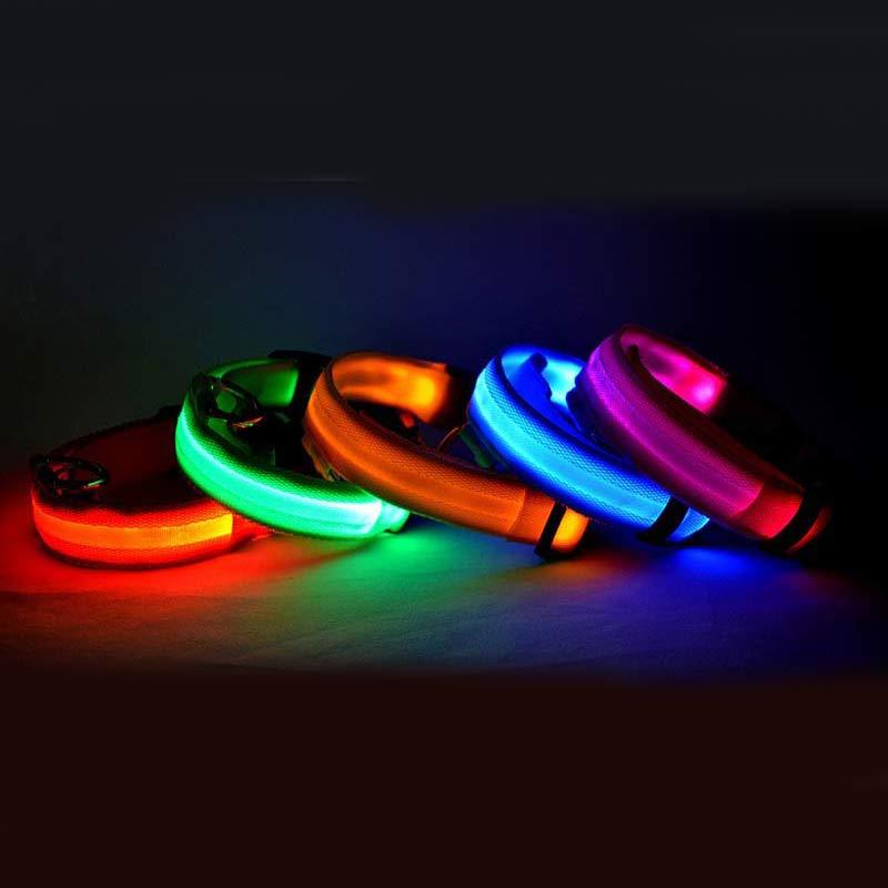 Collar de seguridad nocturna con luz LED – Ajustable, nylon resistente, ideal para perros y gatos