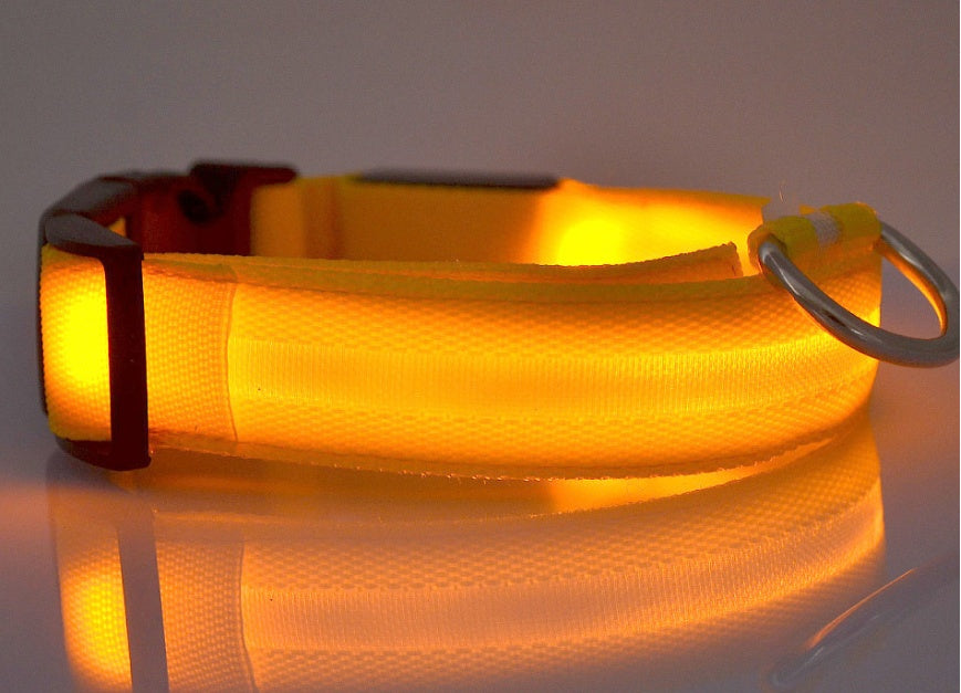 Collar de seguridad nocturna con luz LED – Ajustable, nylon resistente, ideal para perros y gatos