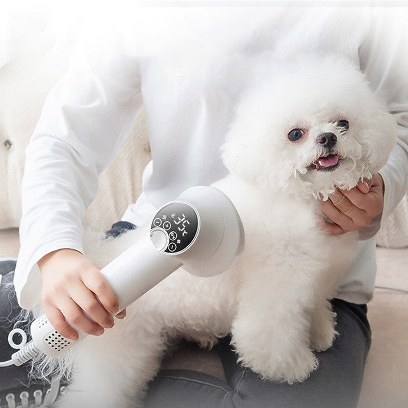 Secador de Pelo Inteligente para Mascotas – Perros y Gatos, Silencioso, Seguro y con Cepillado Integrado