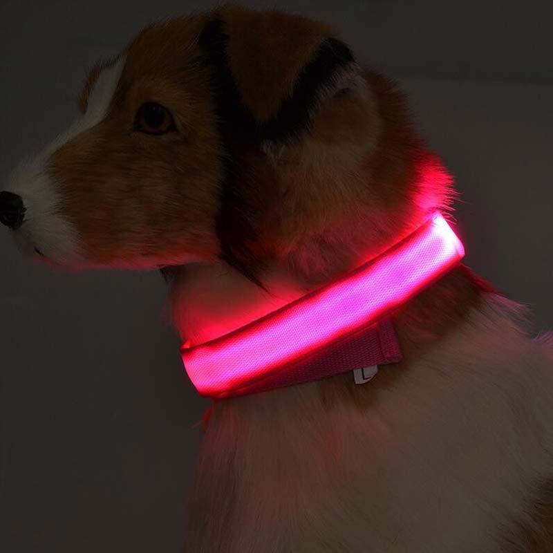 Collar de seguridad nocturna con luz LED – Ajustable, nylon resistente, ideal para perros y gatos