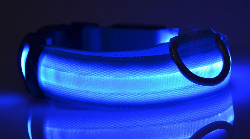 Collar de seguridad nocturna con luz LED – Ajustable, nylon resistente, ideal para perros y gatos