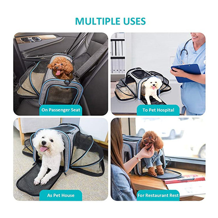 Transportadora Expandible para Gatos y Perros - Aprobada por Aerolíneas, Plegable y con Cintas Reflectivas