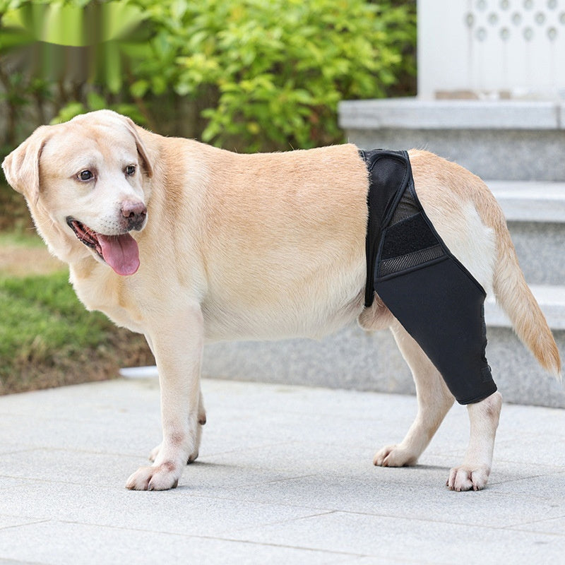 Protector Articular para Mascotas – Rodillera Fija con Correa Auxiliar, Soporte Postoperatorio para Fracturas y Discapacidades en Perros