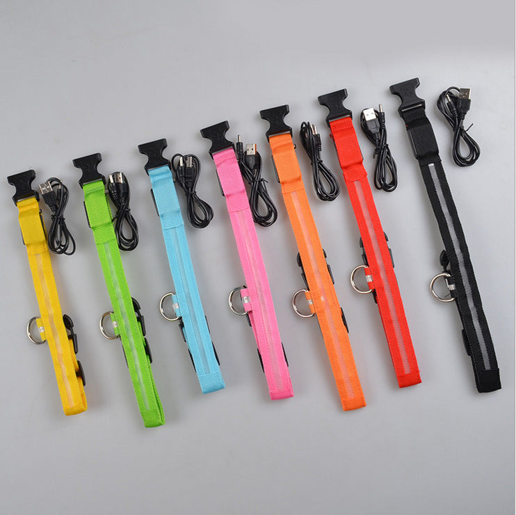 Collar de seguridad nocturna con luz LED – Ajustable, nylon resistente, ideal para perros y gatos