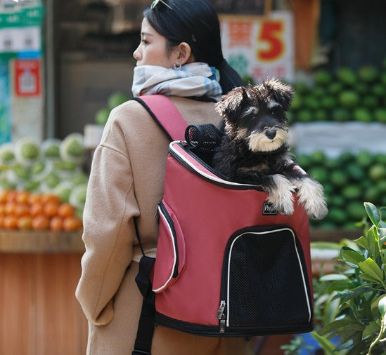Mochila Transportadora para Perro - Ideal para Paseos y Viajes