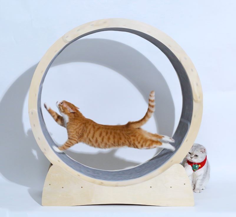 Rodillo de Cinta para Gatos con Juguetes Especiales – Estimulación y Diversión Asegurada