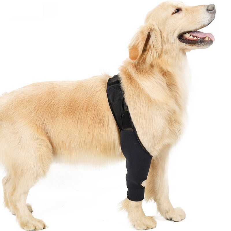 Protector Articular para Mascotas – Rodillera Fija con Correa Auxiliar, Soporte Postoperatorio para Fracturas y Discapacidades en Perros