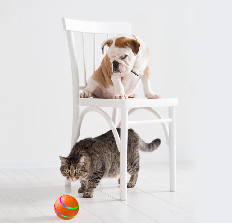 Pelota Electrónica para Gatos – Recargable por USB, Rotación Automática y Diversión Interactiva