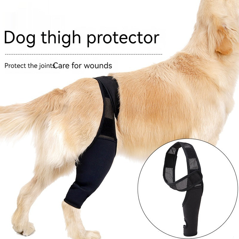 Protector Articular para Mascotas – Rodillera Fija con Correa Auxiliar, Soporte Postoperatorio para Fracturas y Discapacidades en Perros