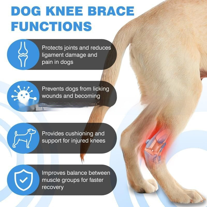 Rodillera de Rehabilitación para Perros y Gatos – Protector de Pierna para Lesiones de Ligamento ACL y Luxación Articular
