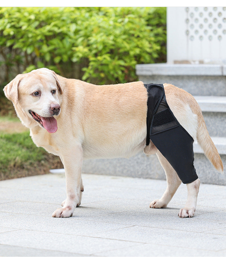 Protector Articular para Mascotas – Rodillera Fija con Correa Auxiliar, Soporte Postoperatorio para Fracturas y Discapacidades en Perros