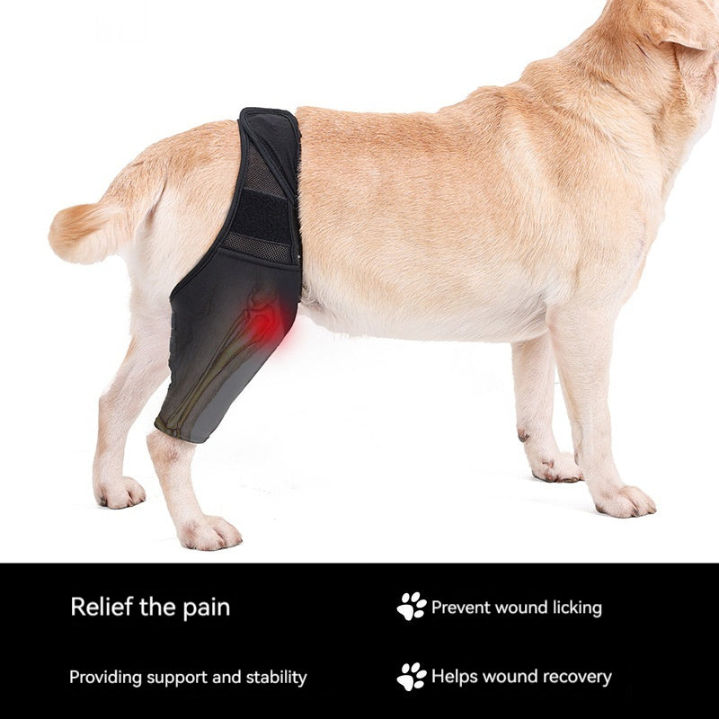Protector Articular para Mascotas – Rodillera Fija con Correa Auxiliar, Soporte Postoperatorio para Fracturas y Discapacidades en Perros