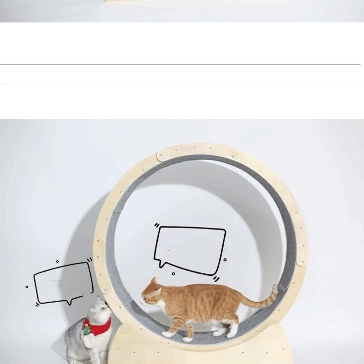 Rodillo de Cinta para Gatos con Juguetes Especiales – Estimulación y Diversión Asegurada