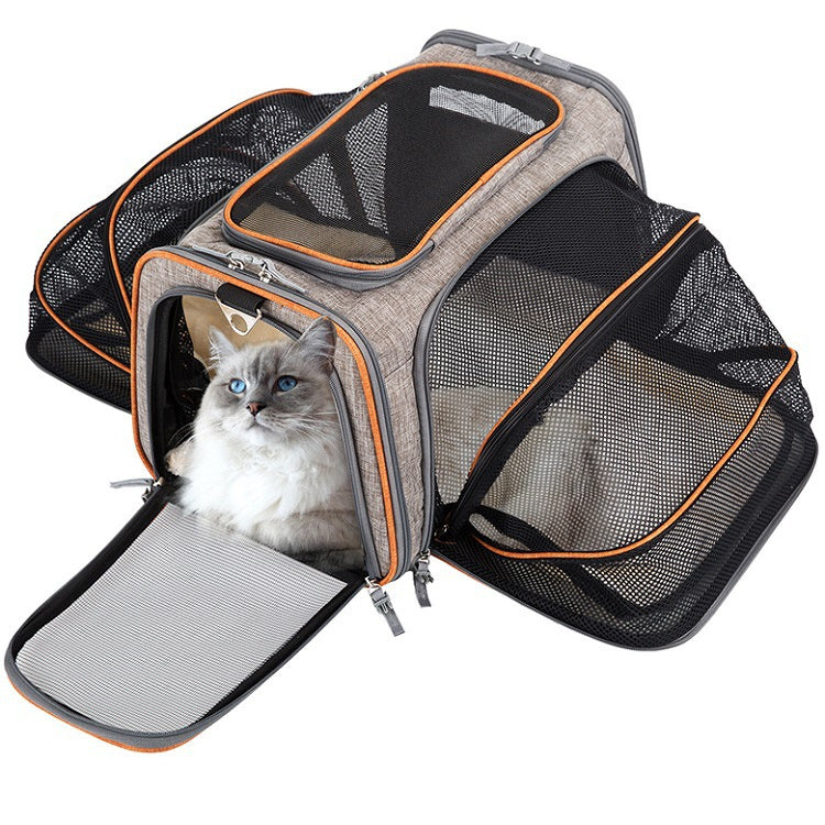 Transportadora Expandible para Gatos y Perros - Aprobada por Aerolíneas, Plegable y con Cintas Reflectivas